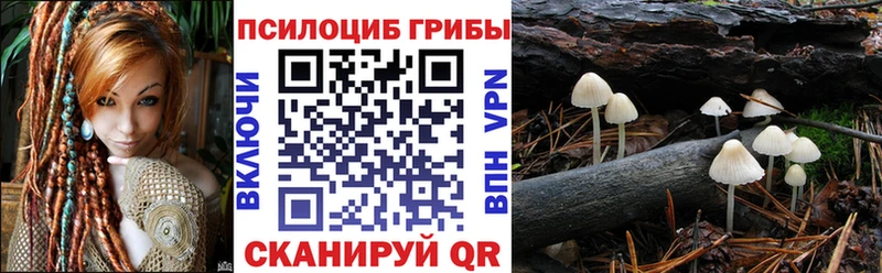 сайты даркнета официальный сайт  Сорск  Галлюциногенные грибы мухоморы 